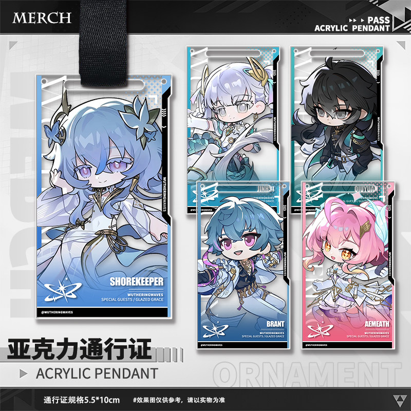 Game Wuthering Waves Aemeath T - Anime Merchandise Bag review and price