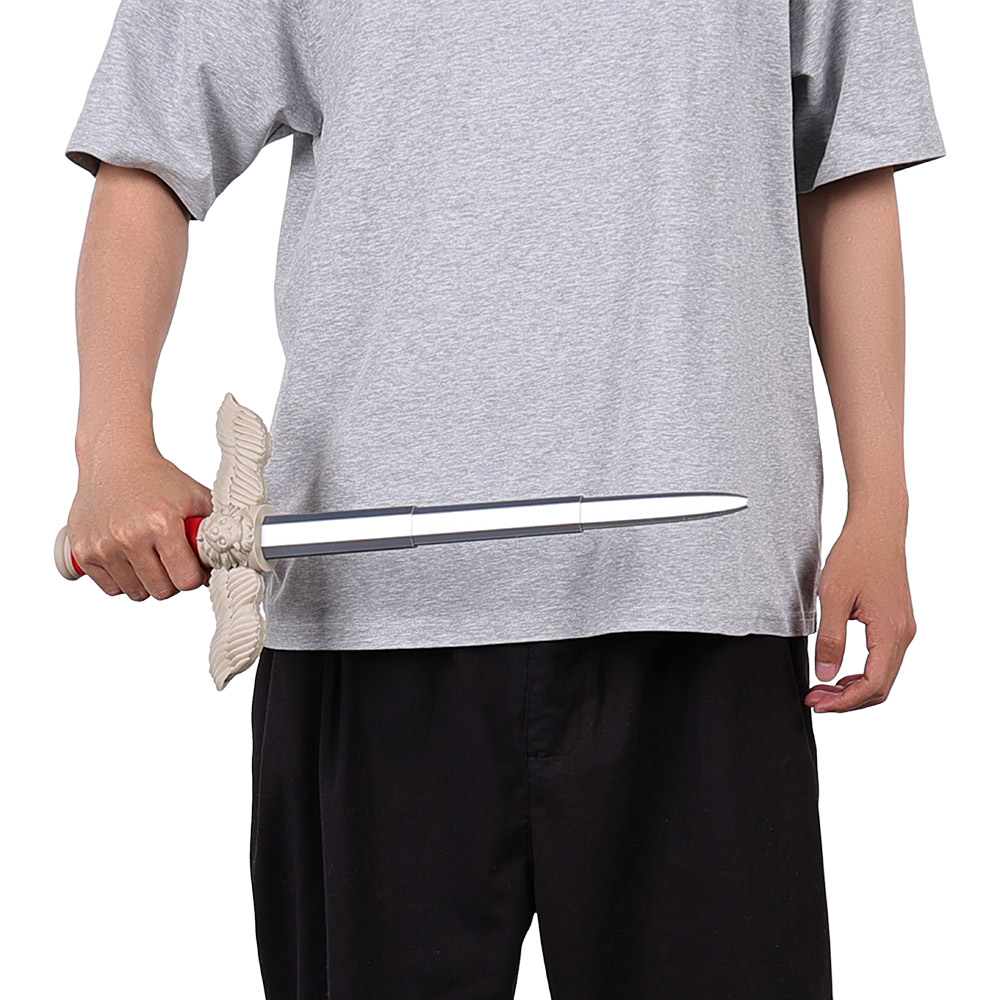 Disguise Laios Swords Ornament - Cosplay Prop Sword review and price